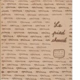 Le pied chausse - Irina Nicolau