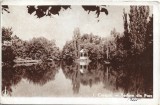 CP956N Craiova, Vedere din Parc, carte poștală