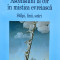 Ascensiuni La Cer In Mistica Evreiasca - Moshe Idel , H401