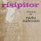 Fiul risipitor - Radu Tudoran