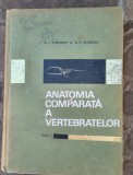 ANATOMIA COMPARATA A VERTEBRATELOR - G.T. DORNESCU VOL.I