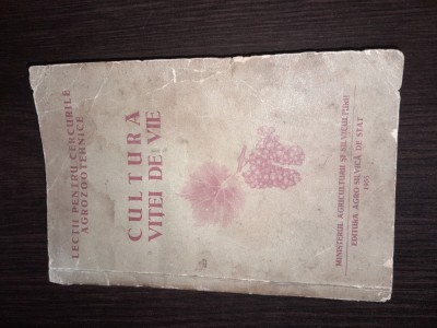VITA DE VIE, VIN, CARTE VECHE VITA DE VIE, Cultura Vitei De Vie - Manual Pentru Scolile Agrozootehnice 1955 foto