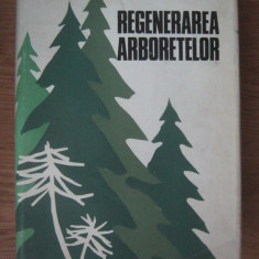 Nicolae Constantinescu - Regenerarea arboretelor (1973, cu autograful autorului)