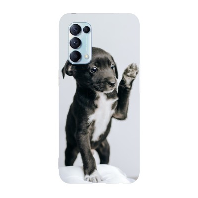 Husa compatibila cu Oppo Find X3 Lite model Paw Patrol, Silicon, TPU, Viceversa foto