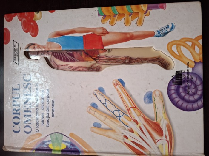 CORPUL OMENESC - Peter Abrahams - Adriana Badescu (traducere ) - 16 p.