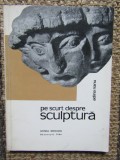 PE SCURT DESPRE SCULPTURA-ADINA NANU