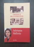 CRONICA DE COTROCENI - ADRIANA SAFTOIU