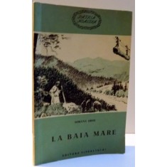 LA BAIA MARE de SORANA URSU , 1956