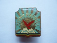 ROMANIA - INSIGNA SOIMII PATRIEI, 19880, RSR, IM1.168 foto