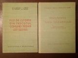 O. D. Brezeanu et al. - File de istorie din trecutul comunei Teișani (col. de documente Dumitru I. Brezeanu-Teișani) + Documente de pe Valea Teleajenu