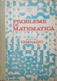 PROBLEME DE MATEMATICA PENTRU GIMNAZIU-I. PETRICA, C. STEFAN, ST. ALEXE