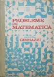 PROBLEME DE MATEMATICA PENTRU GIMNAZIU-I. PETRICA, C. STEFAN, ST. ALEXE-263308