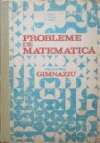 PROBLEME DE MATEMATICA PENTRU GIMNAZIU-I. PETRICA, C. STEFAN, ST. ALEXE