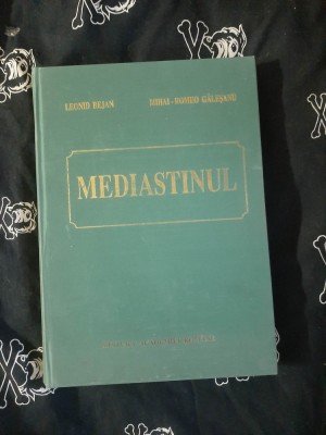 Leonid Bejan / Mihai Galesanu - Mediastinul foto