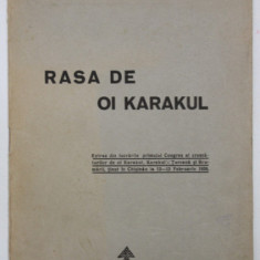 RASA DE OI KARAKUL de Dr. TH. A. NICA , 1939