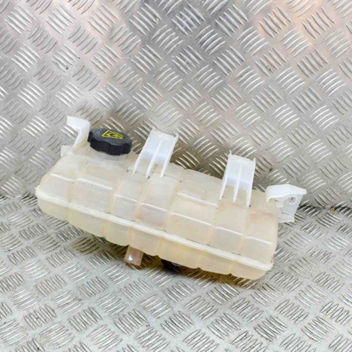 Vas de expansiune TESLA MODEL S 2017 OEM: 1036124-00-D 14336895