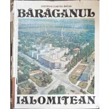 BARAGANUL IALOMITEAN. ALBUM-GHEORGHE DUMITRU MAICAN-245189