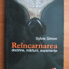 Sylvie Simon - Reincarnarea. Doctrine, maturii, experiente