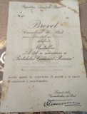 Brevet a 50 a aniversare a PCR