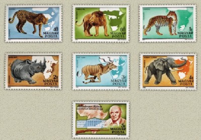 Ungaria 1981 - Fauna Africana, animale, serie neuzata foto