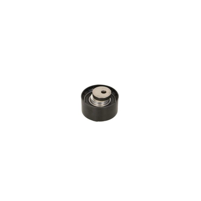 Rola Intinzator curea LANCIA YPSILON 843 DAYCO ATB1002