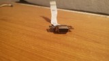 Cumpara ieftin Port Vido VGA Laptop Dell Inspiron 1210 #RAZ