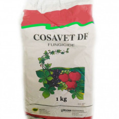 Fungicid Cosavet 80 DF 1 kg