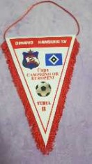 Fanion Dinamo foto