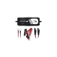 EverActive incarcator profesional cod CBC10 cu 13 LED pentru acumulatori Plumb 12V / 24V incarca cu 2A / 5A / 10A acumulatorii de 12V si cu 2A / 5A ac