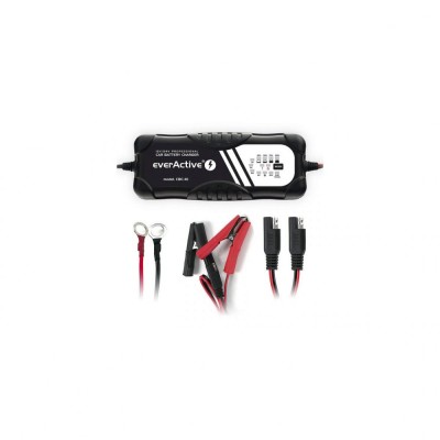 EverActive incarcator profesional cod CBC10 cu 13 LED pentru acumulatori Plumb 12V / 24V incarca cu 2A / 5A / 10A acumulatorii de 12V si cu 2A / 5A ac foto