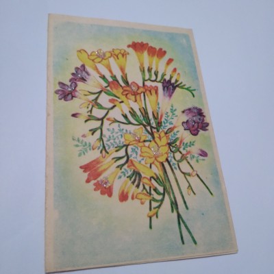 CARTE POSTALA FELICITARE NECIRCULATA foto