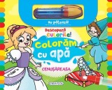 Descopera culorile! Cenusareasa - Girasol