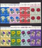 ROMANIA 1970 LP 719 FLORI DE STEPA BLOCURI DE 4 TIMBRE MNH