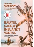 Baiatul care a imblanzit vantul