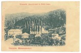 117 - RONA de SUS, Costiui, Maramures, Salt Mine, Litho, Romania - old postcard - unused, Necirculata, Printata