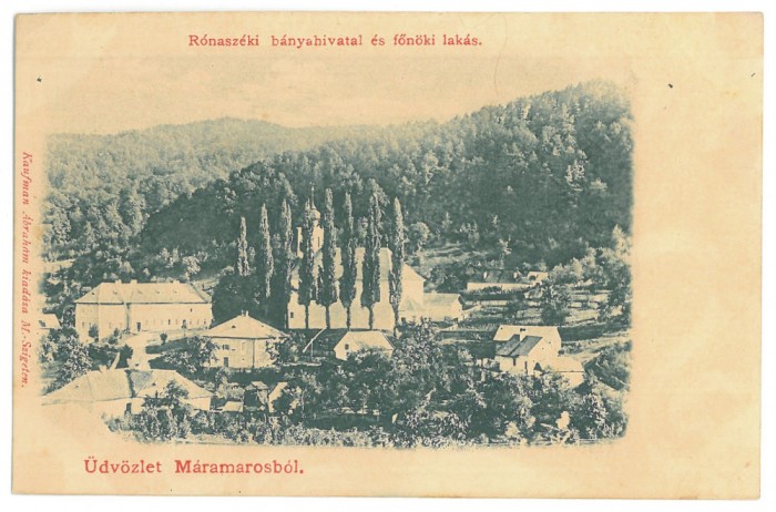 117 - RONA de SUS, Costiui, Maramures, Salt Mine, Litho, Romania - old postcard - unused