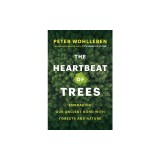 The Heartbeat of Trees: Embracing Our Ancient Bond with Forests and Nature