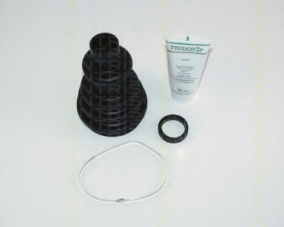 Kit burduf planetara RENAULT MASTER II platou / sasiu (ED/HD/UD) (1998 - 2010) TRISCAN 8540 25810 foto