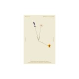 The Hours / Mrs. Dalloway