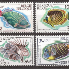 BELGIA 1968 FAUNA MARINA ( serie dantelata ) MNH