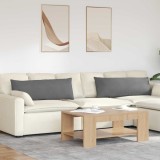 vidaXL Perne pentru canapea 2 pcs Gri &icirc;nchis 120 x 40 cm țesătură 42013813