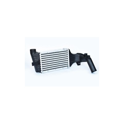 Radiator Intercooler 555669 55857 foto