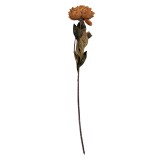 Cumpara ieftin Floare artificiala maro verde 10x10x65 cm