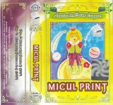 Antoine De Saint-Exup&eacute;ry - Micul Prinț Caseta Audio Roton