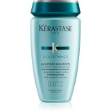 K&eacute;rastase R&eacute;sistance Bain Force Architecte șampon pentru păr fin și deteriorat 250 ml