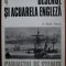 Radu Ionescu - Desenul si acuarela engleza