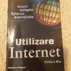 Utilizarea internetului