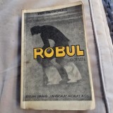 Robul - Dem Theodorescu