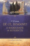 De ce, Doamne? O radiografie a suferintei &ndash; C. S. Lewis