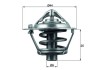 MAHLE TX 113 88D termostat,lichid racire